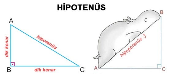 Hipotenus.jpg